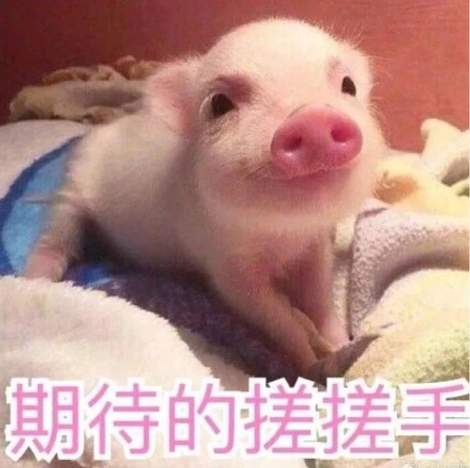 俄罗斯专享会294(中国游)官方网站